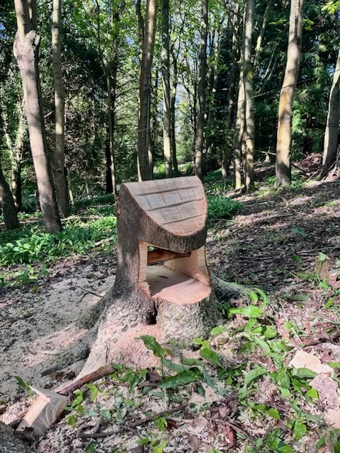 Wishing well in woodland